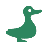 Duck Toy